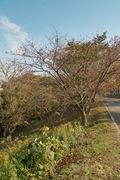 Takamatsu-park11242007-06.jpg