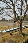 Takamatsu-park11242007-07.jpg