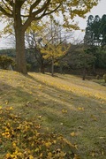 Takamatsu-park11242007-08.jpg