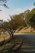 Takamatsu-park11242007-10.jpg