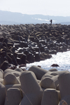 Taki_Port02192011gh2.jpg