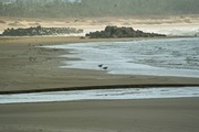 Taki_port01062008-04.jpg