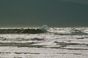 Taki_port01062008-05.jpg