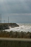 Taki_port01062008-07.jpg