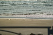 Taki_port01062008-09.jpg