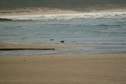 Taki_port01062008-10.jpg