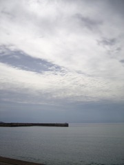 Togi_seaside10112007-2.jpg