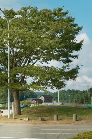 Unoke_Park08182007-01.jpg