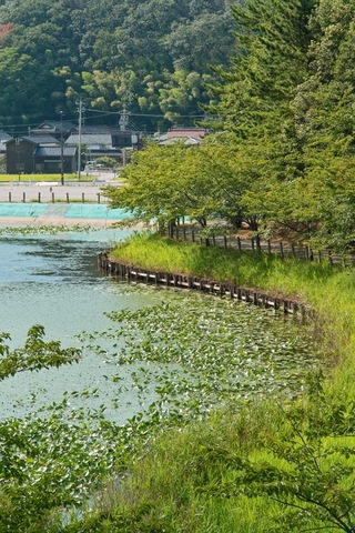 Unoke_Shoubuen08182007-02.jpg