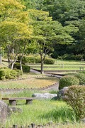 Unoke_Shoubuen08182007-04.jpg
