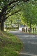Unoke_Shoubuen08182007-06.jpg