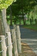 Unoke_Shoubuen08182007-09.jpg