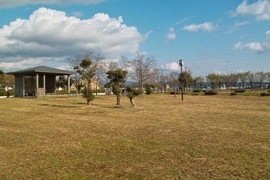 Unoke_yachou12082007-02.jpg