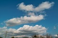 Unoke_yachou12082007-06.jpg