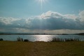 Unoke_yachou12082007-11.jpg