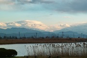 Unoke_yachou12232007-03.jpg
