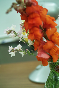 flower06022009dp2-2.jpg