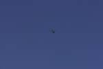 helicopter02192011gh2.jpg