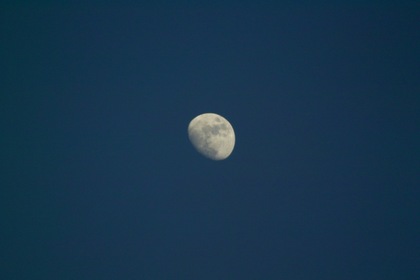 moon06142008.jpg