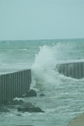rainy-day_shots09072007-03.jpg