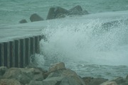 rainy-day_shots09072007-06.jpg