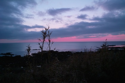 sea04142008d.jpg
