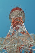 walk_around09082007-02.jpg