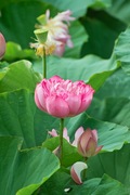 walk_around09082007-09.jpg