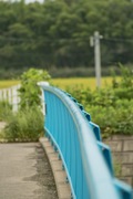 walk_around09082007-12.jpg