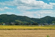 walk_around09152007-02.jpg